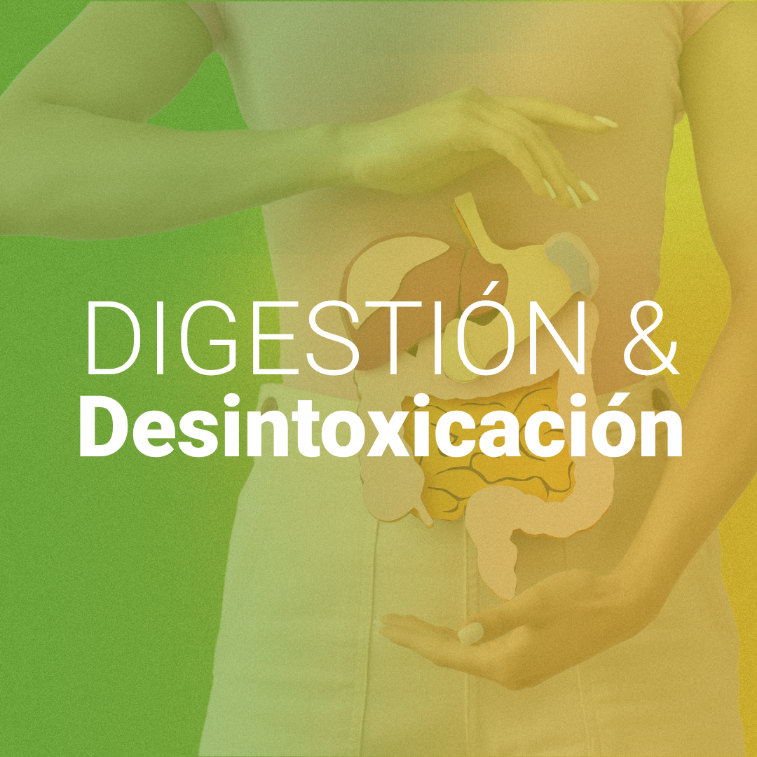 Digestión & Desintoxicación