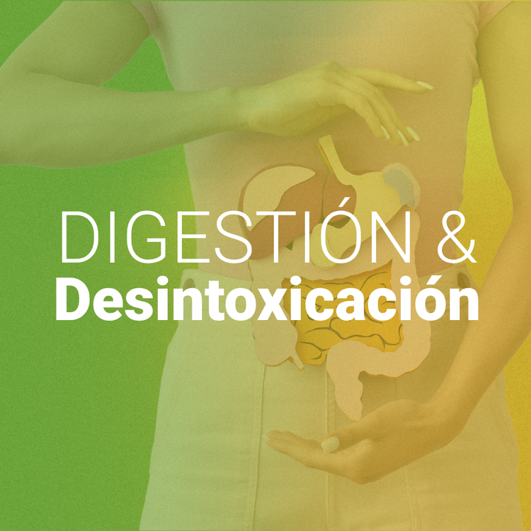 Digestión & Desintoxicación