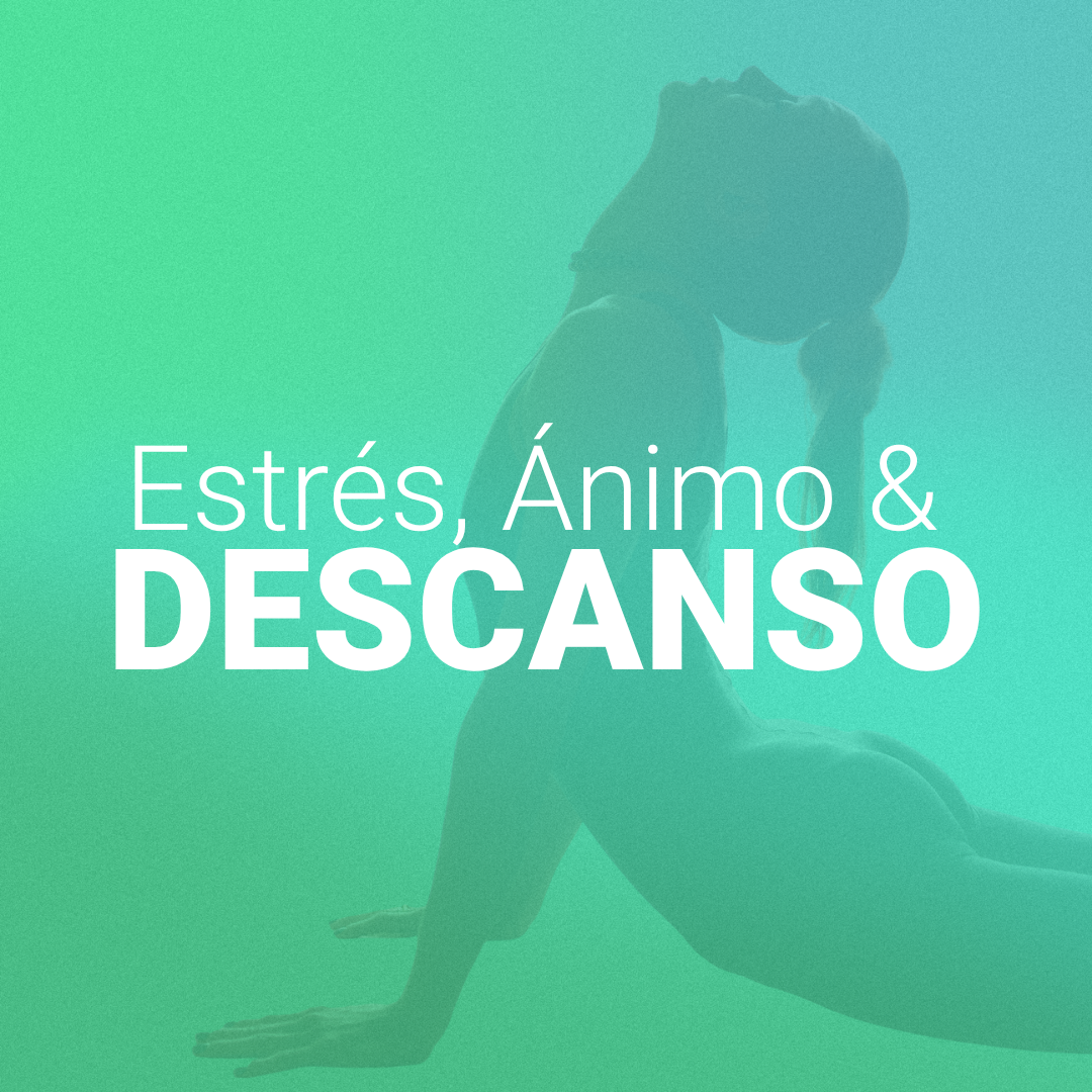 Estrés, Ánimo & Descanso