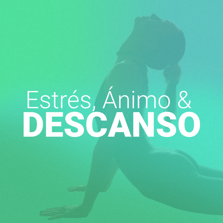 Estrés, Ánimo & Descanso