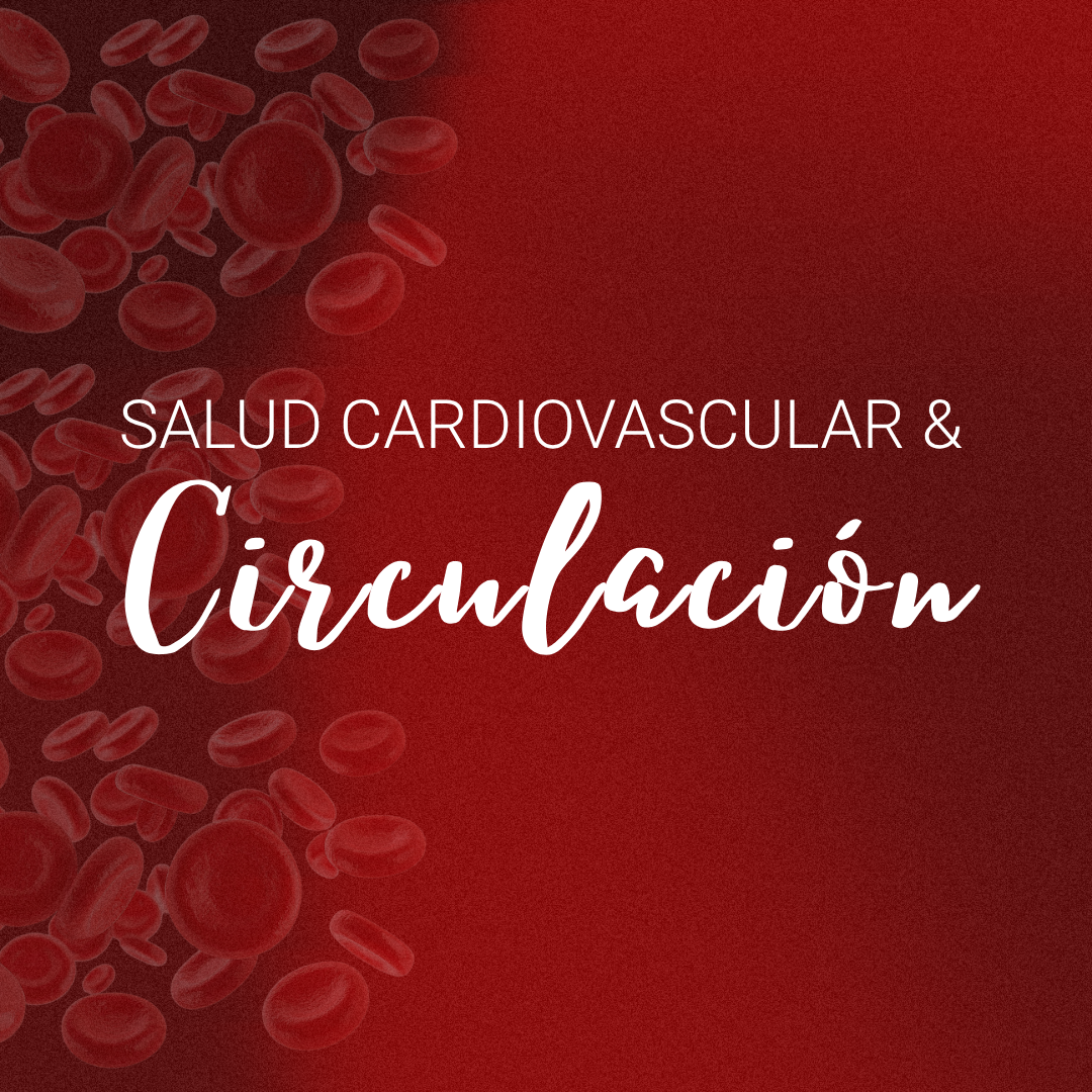 Salud Cardiovascular & Circulación