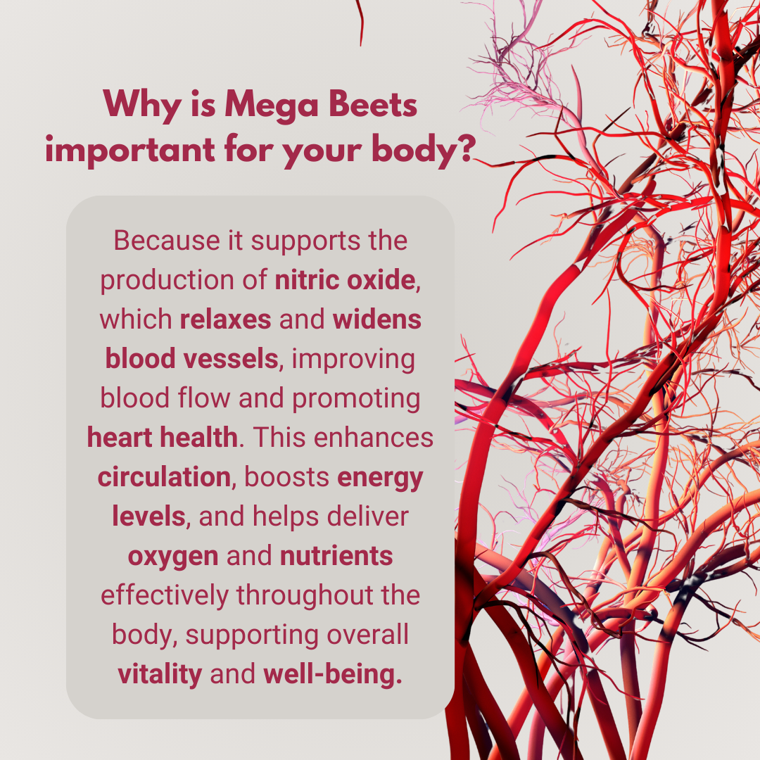 MEGA BEETS