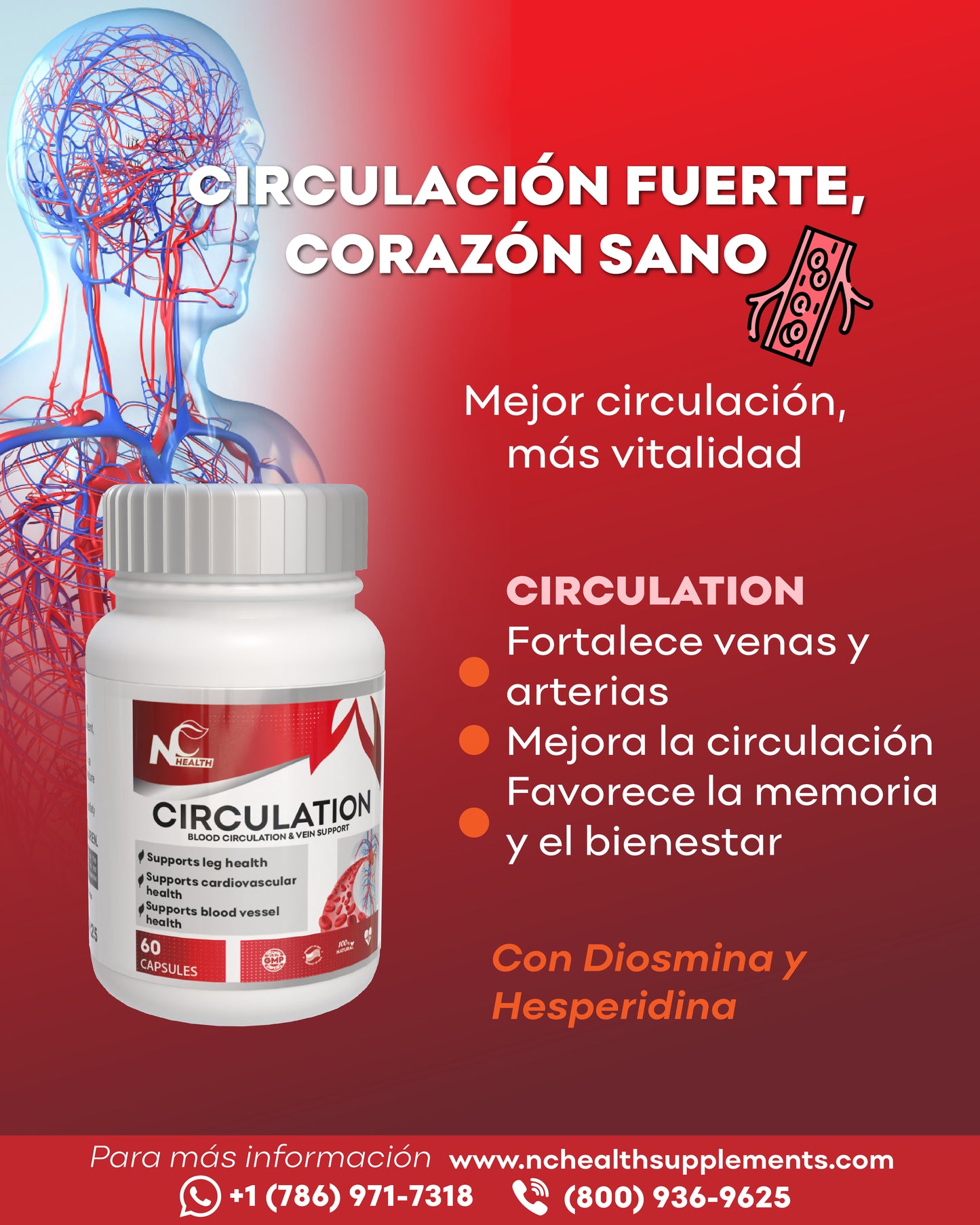 CIRCULATION 